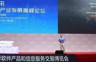 第十三届中国南京软博会开幕，聚焦互联网信息服务新趋势