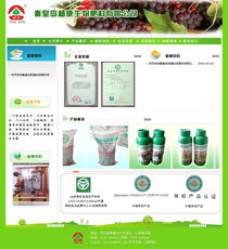 杨康生物携手秦皇岛市创想信息网络 智能化生产制造与客户展示新篇章