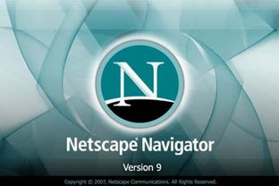 网景通信公司 互联网信息服务领域的先驱